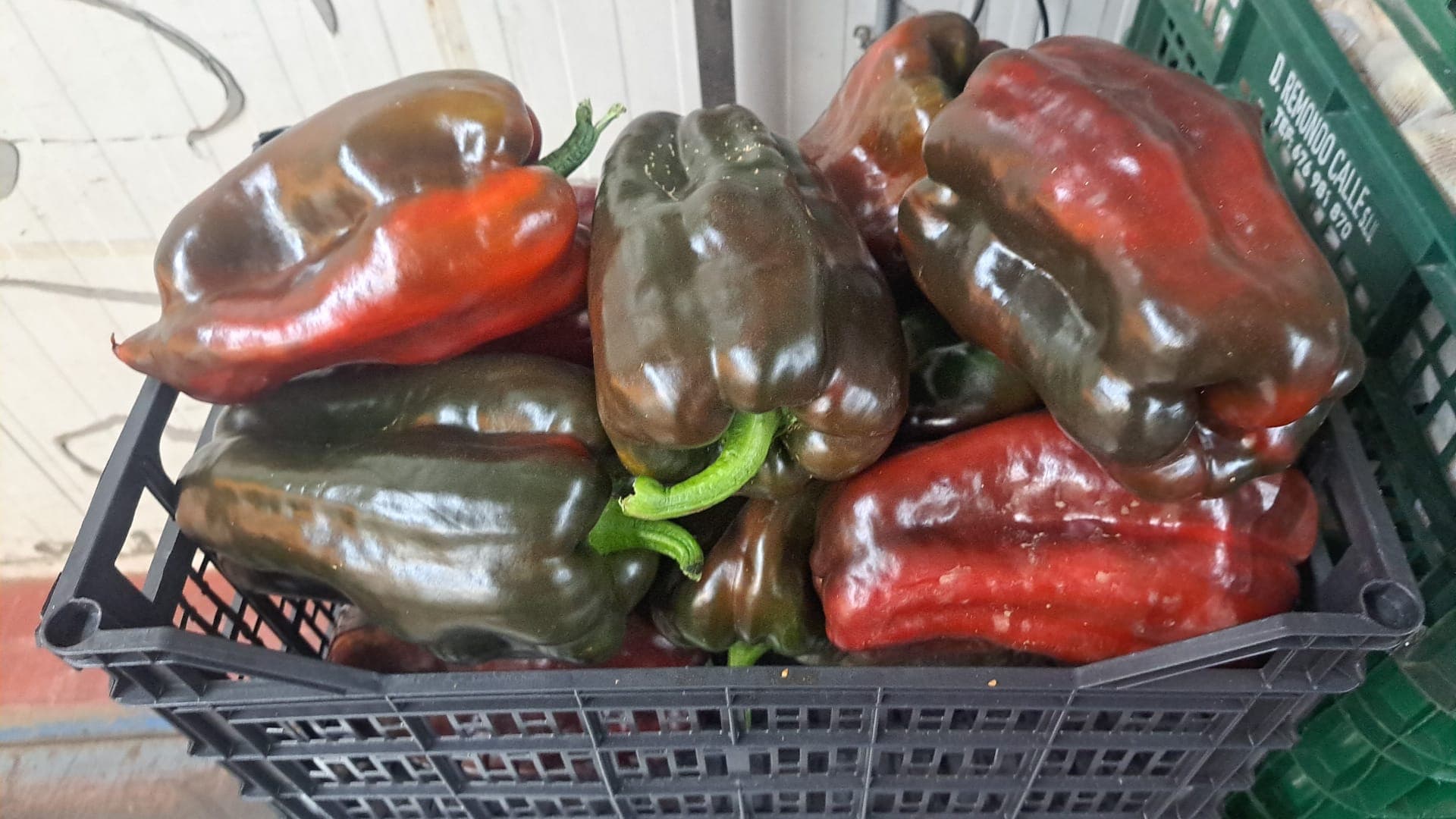 Producto fresco Don Remondo 9