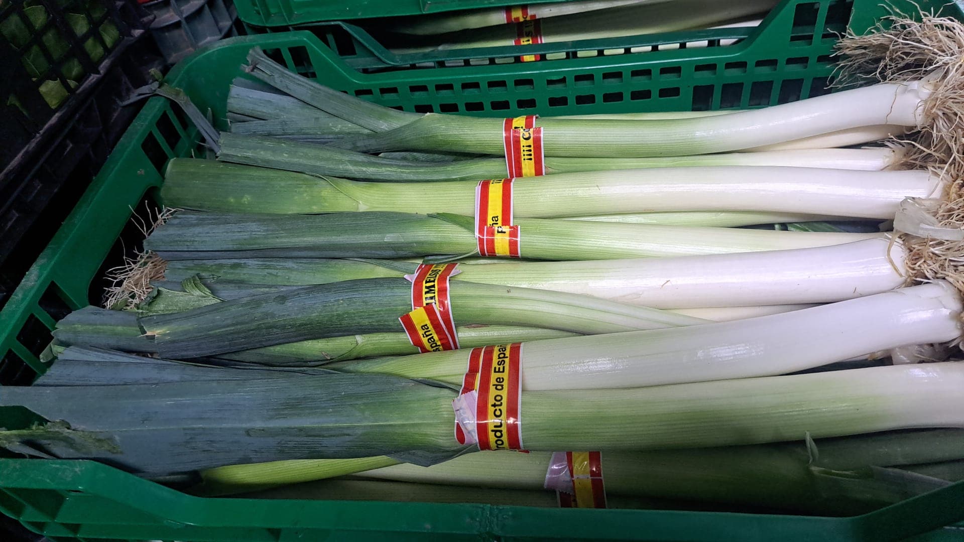 Producto fresco Don Remondo 4