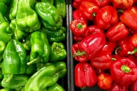 Pimiento
