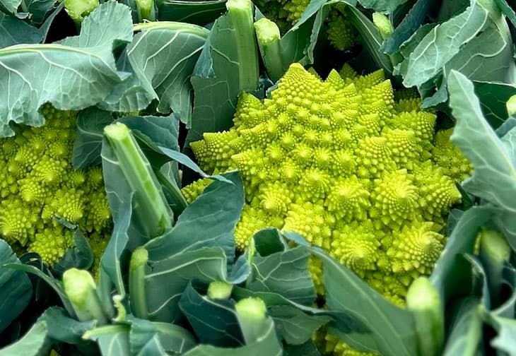 Romanesca